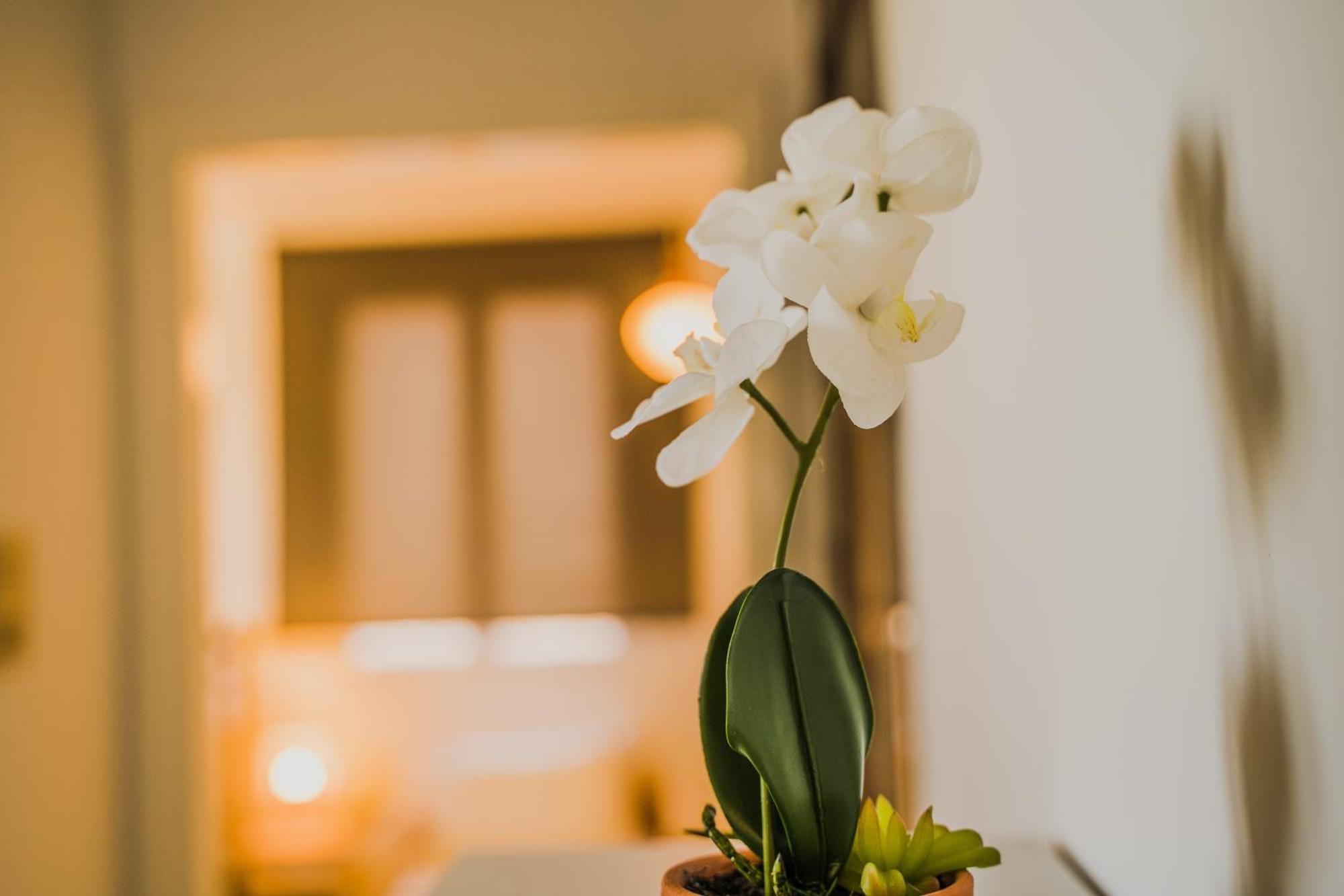 Green Apartment Ground Floor Feel Like Home Properties Saronida Exterior foto